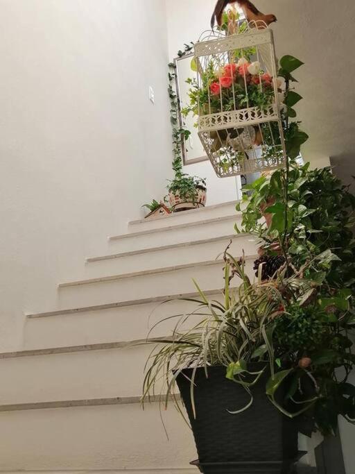 Casa Adhita, Tu Confort Es Nuestra Prioridad. Yautepec de Zaragoza Exterior photo